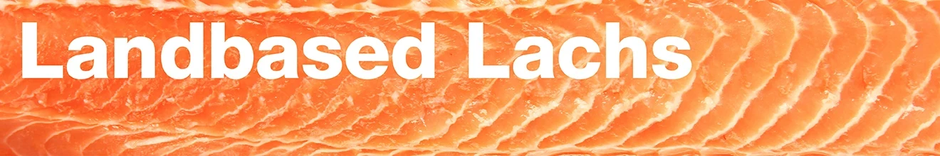 Header Landbased Lachs Header Landbased Lachs