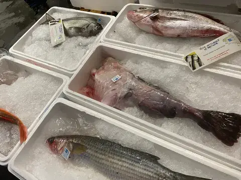 Fischauslage Niggemann Fischauslage Niggemann
