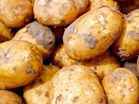 Kartoffeln